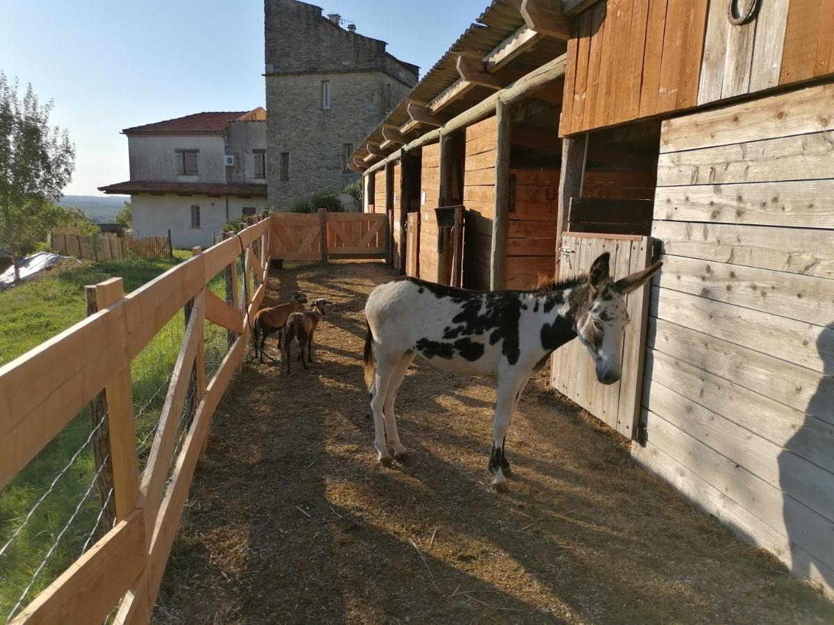 Villa Les Hauts Vallons Puylaroque Екстер'єр фото